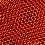 Electron Microscope Image of a twisted bilayer of MoS2 show well-resolved Moire fringes between the two layers